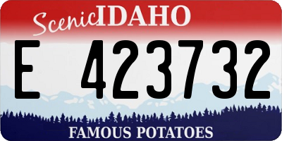 ID license plate E423732