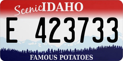 ID license plate E423733