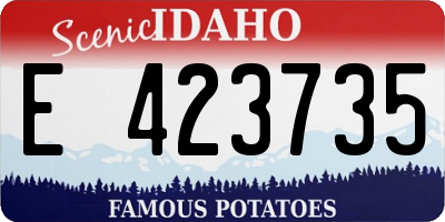ID license plate E423735