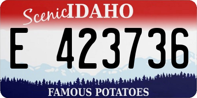 ID license plate E423736