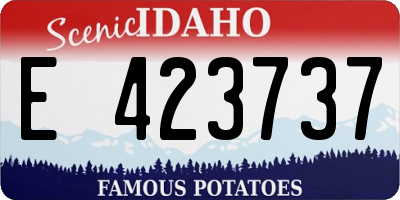ID license plate E423737