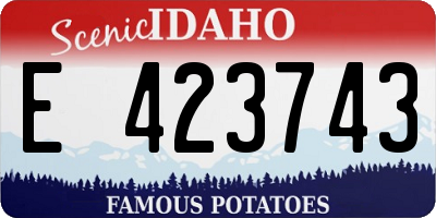 ID license plate E423743