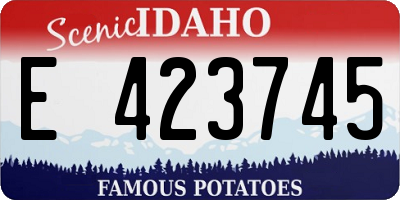 ID license plate E423745