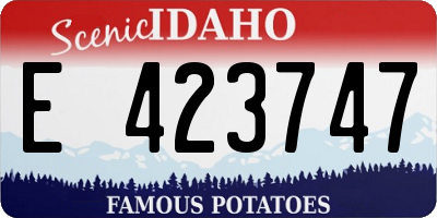 ID license plate E423747
