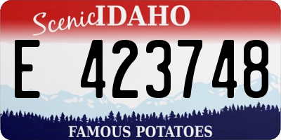 ID license plate E423748