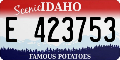 ID license plate E423753