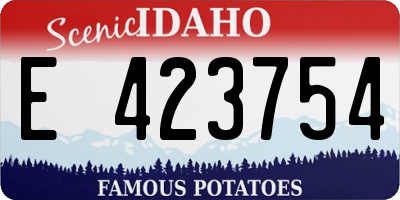 ID license plate E423754