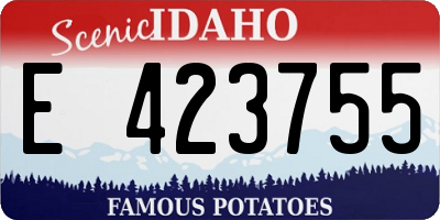 ID license plate E423755