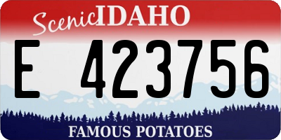 ID license plate E423756