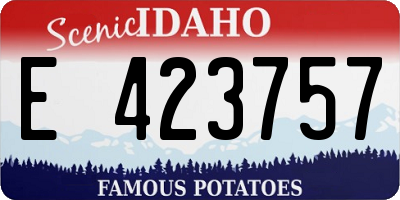 ID license plate E423757