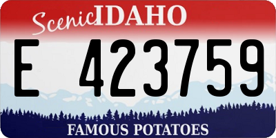 ID license plate E423759