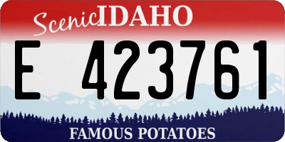 ID license plate E423761