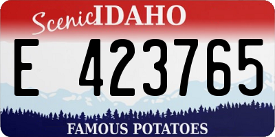 ID license plate E423765