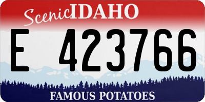 ID license plate E423766