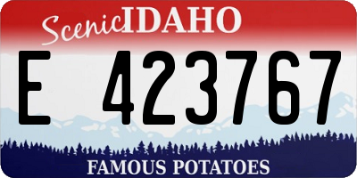ID license plate E423767