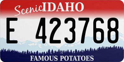 ID license plate E423768