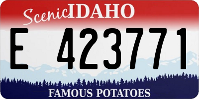 ID license plate E423771