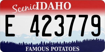 ID license plate E423779