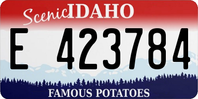 ID license plate E423784