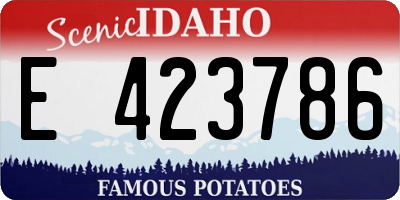 ID license plate E423786