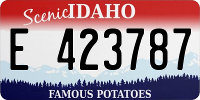 ID license plate E423787