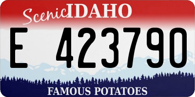 ID license plate E423790