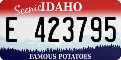 ID license plate E423795