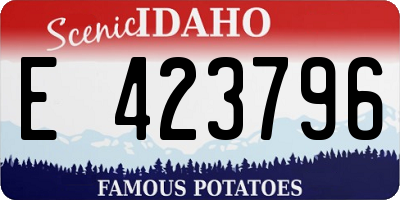 ID license plate E423796