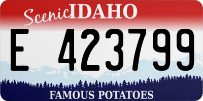 ID license plate E423799