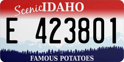 ID license plate E423801