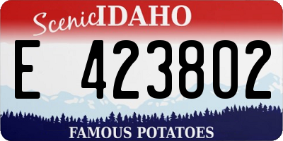 ID license plate E423802