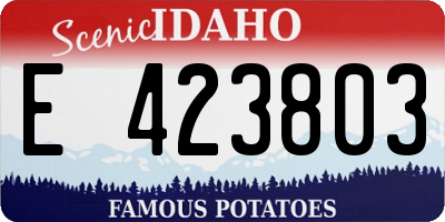 ID license plate E423803