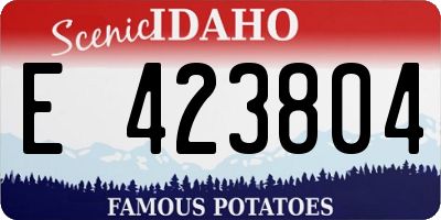 ID license plate E423804