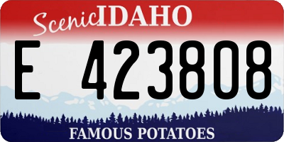 ID license plate E423808