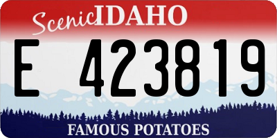 ID license plate E423819