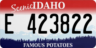 ID license plate E423822