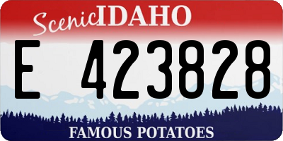 ID license plate E423828