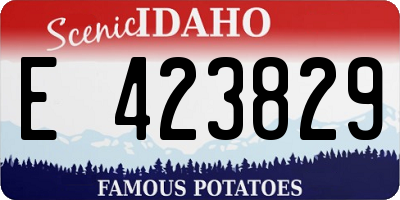 ID license plate E423829