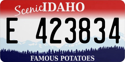 ID license plate E423834
