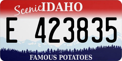 ID license plate E423835