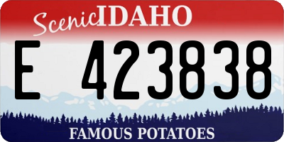 ID license plate E423838