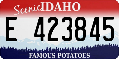 ID license plate E423845