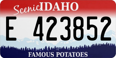 ID license plate E423852