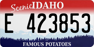 ID license plate E423853