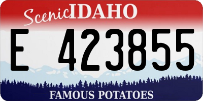 ID license plate E423855