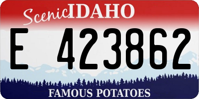 ID license plate E423862