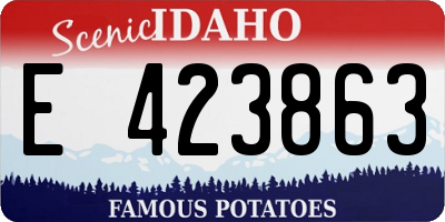 ID license plate E423863
