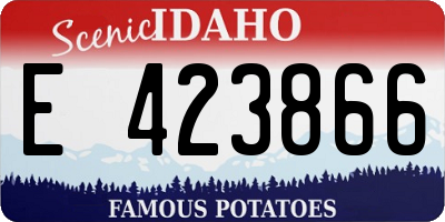 ID license plate E423866