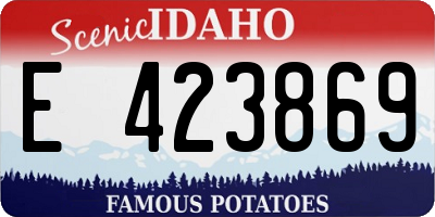 ID license plate E423869