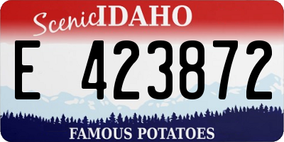 ID license plate E423872